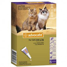 アドボケート猫用（4kg以上)６本／Advocate Large cat purple 6vials