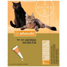 アドボケート猫用（4kg未満)６本／Advocate Kittens & Small Cats 6vials