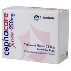 セファケア（セファレキシン250mg）100錠／Cephacare 250mg Flavoured 100tablets for Cats and Dogs