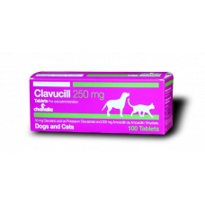 クラブシル（アモキシシリン、クラブラン酸）250mg100錠／CLAVUCILL 250mg 100tabs