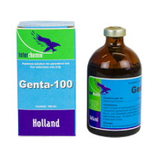 ゲンタ１００（ゲンタマイシン10%100ml）注射液／Genta-100