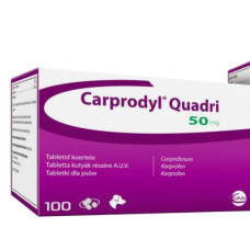 カルプロダイル（カルプロフェン50mg)50錠／Carprodyl 50mg50tabs