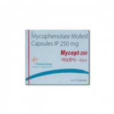 セルセプト・ジェネリック（ミコフェノール酸モフェチル250mg）30錠／Generic cellcept 250mg30tabs