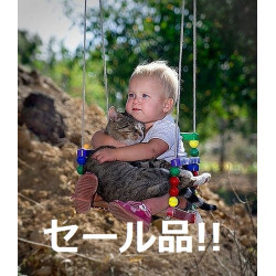 猫 嘔吐 猫 嘔吐