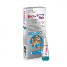 ブラベクトプラス猫用スポットオン（2.8-6.25kg）1本／Bravecto Plus for Medium(2.8-6.5kg) Cats Blue Spot On –  1 Pipette