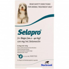 セラプロ大型犬（20-40kg）用6本／Selapro for Dogs (Teal) 20-40kg (44-88lbs)