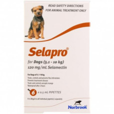 セラプロ小型犬（5-10kg）用6本／Selapro for Dogs (Brown) 5.1-10kg (11-22lbs)