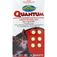 クオンタム小型猫用（４kg以下）６錠／Quantum Tablets for Small Cats under 4kg (8.8lb)6tabs