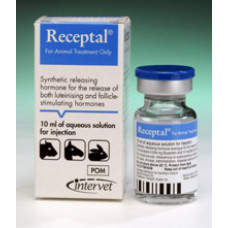 レセプタル（ブセレリン0.004mg/ml)10ml注射液／Receptal Solution for injection10ml