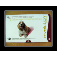 レボリューション中型犬用（10-20kg）6本／Revolution Medium (Red) 6pack