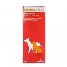 クリナシン(クリンダマイシン300mg)100錠 クリナシン(クリンダマイシン300mg)100錠