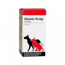 クリナシン(クリンダマイシン75mg)100錠 クリナシン(クリンダマイシン75mg)100錠