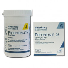 プレドニデール（プレドニゾン25mg)100錠／Prednidale（Prednisolone25mg）100tabs