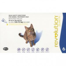 レボリューション猫用（2.6-7kg）6本 ／Revolution Cat (Blue) 6pack