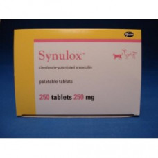 シヌロックス250mg30錠／Synulox Palatable Antibiotic Tablets 250mg 30tabs